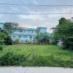 Vườn ngay trung tâm TP, ngay quảng trường sau lưng bệnh viện TP, giá tốt - Ảnh thu nhỏ 8