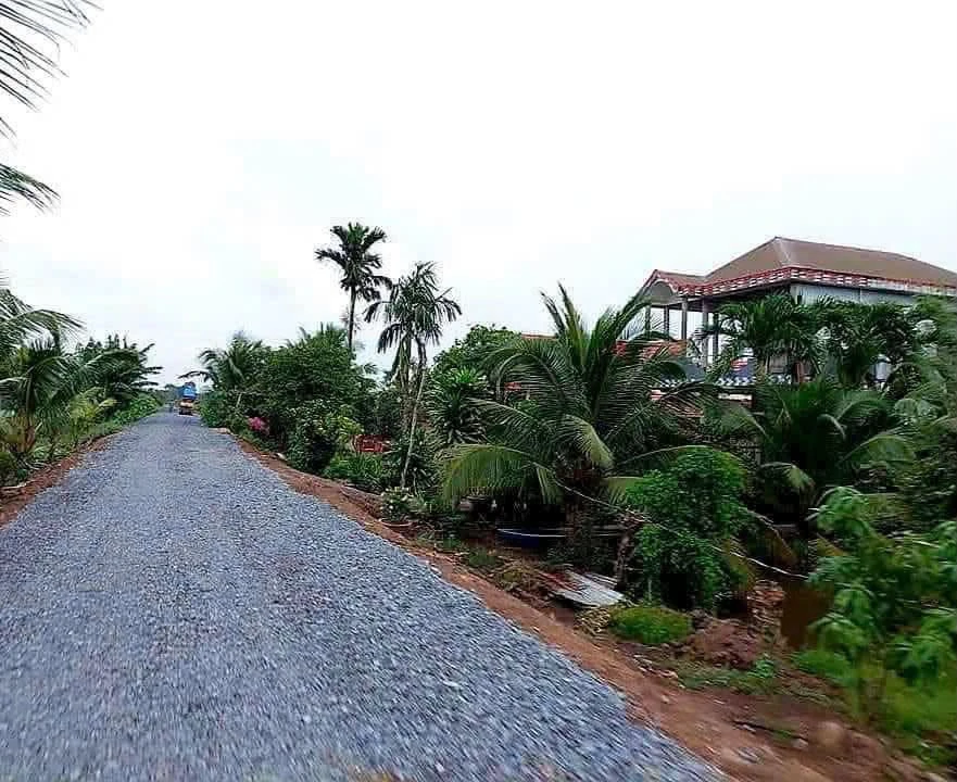 Bán đất 1052m2 loại HNK mặt tiền kênh, view sông tại xã Tân Thành, Thủ Thừa - Ảnh thu nhỏ 5