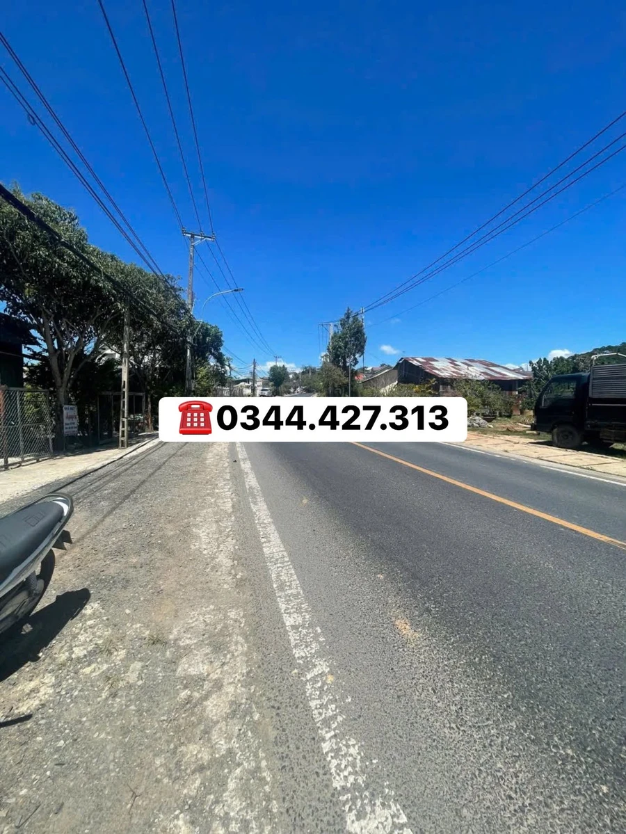 Bán đất 2200m² mặt tiền đường nhựa Cầu Đất, Lâm Đồng - Ảnh thu nhỏ 3