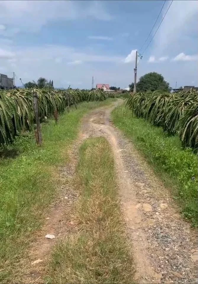 Bán đất 185m2 mặt tiền Hàm Mỹ Phan Thiết 250 triệu - Ảnh 1