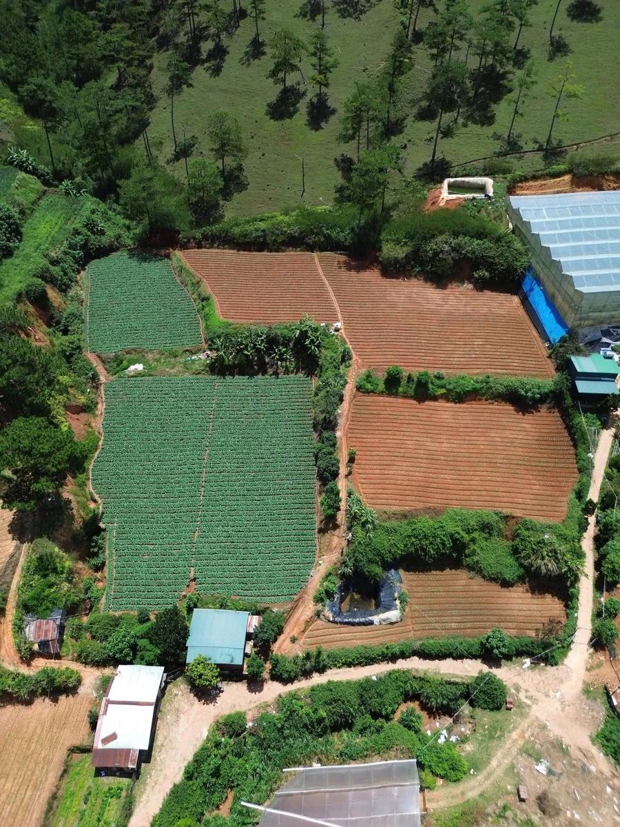 Bán 8000m² đất Đà Lạt, giá 4,5 tỷ - Ảnh thu nhỏ 4