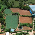 Bán 8000m² đất Đà Lạt, giá 4,5 tỷ - Ảnh thu nhỏ 4