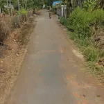 Bán đất mặt tiền đường nhựa 392m² Nhà Bè - Ảnh thu nhỏ 3