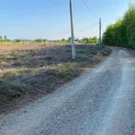 Bán lô đất 150m² Long Tân, Phường Đất Đỏ, 550 triệu - Ảnh thu nhỏ 3
