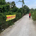 Bán đất Dương Minh Châu Tây Ninh 51m² vườn trái cây - Ảnh thu nhỏ 3