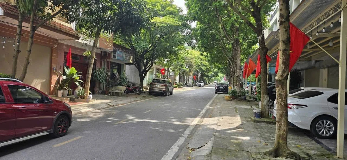 Bán đất An Lạc 100m2, 2 tỷ 520 triệu, Quận 12 - Ảnh thu nhỏ 4