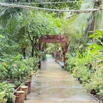 Bán đất mặt tiền 500m² Nhơn Thạnh, Bến Tre - Ảnh thu nhỏ 5
