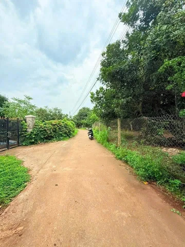 Bán đất 166m² full thổ cư Bảo Vinh 1 tỷ 170 - Ảnh 1