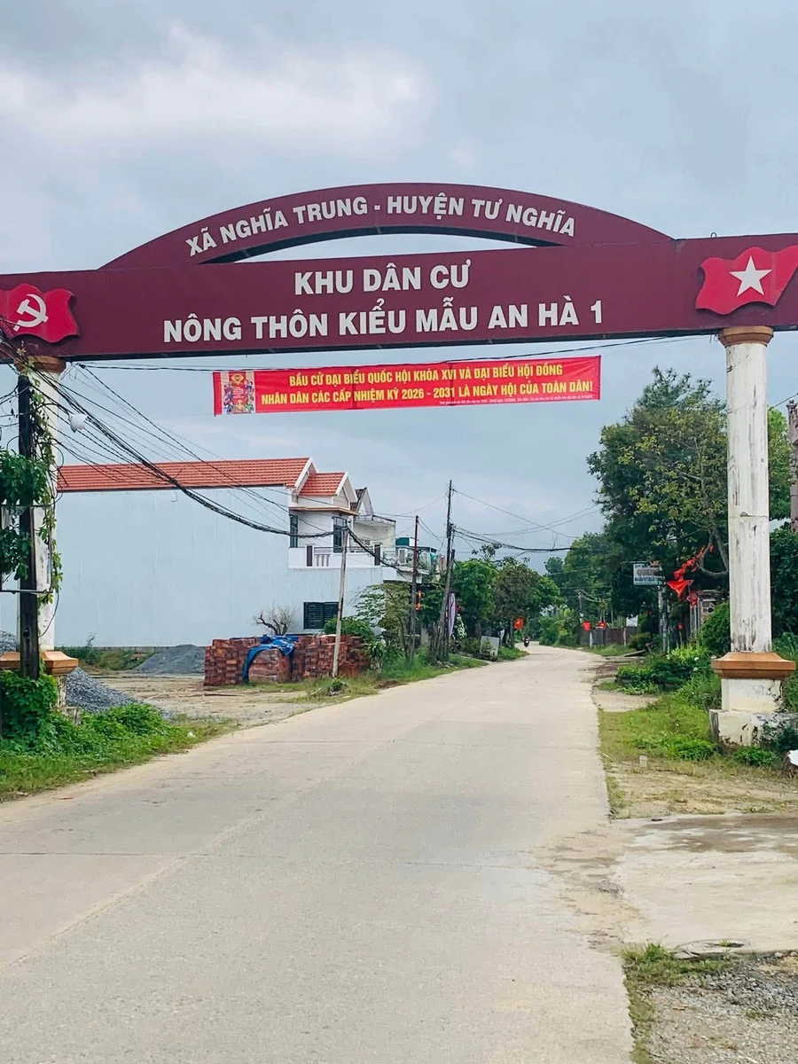Bán đất Bình Chánh 115m² sát KDC Tây Bầu Giang 550 triệu - Ảnh thu nhỏ 3