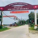 Bán đất Bình Chánh 115m² sát KDC Tây Bầu Giang 550 triệu - Ảnh thu nhỏ 3