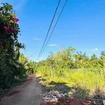 Bán đất 785m² giá 790 triệu đường 19 Tháng 5 - Ảnh thu nhỏ 4