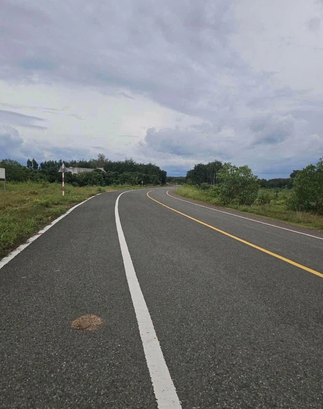 Bán đất Đường Thanh Niên Tân Hưng 165m2, 350 triệu - Ảnh 1