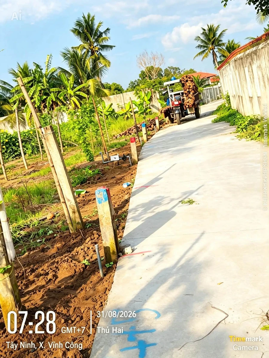 Bán 8 lô đất 5x27m tại Hòa Phú, Châu Thành, Long An - Ảnh thu nhỏ 2
