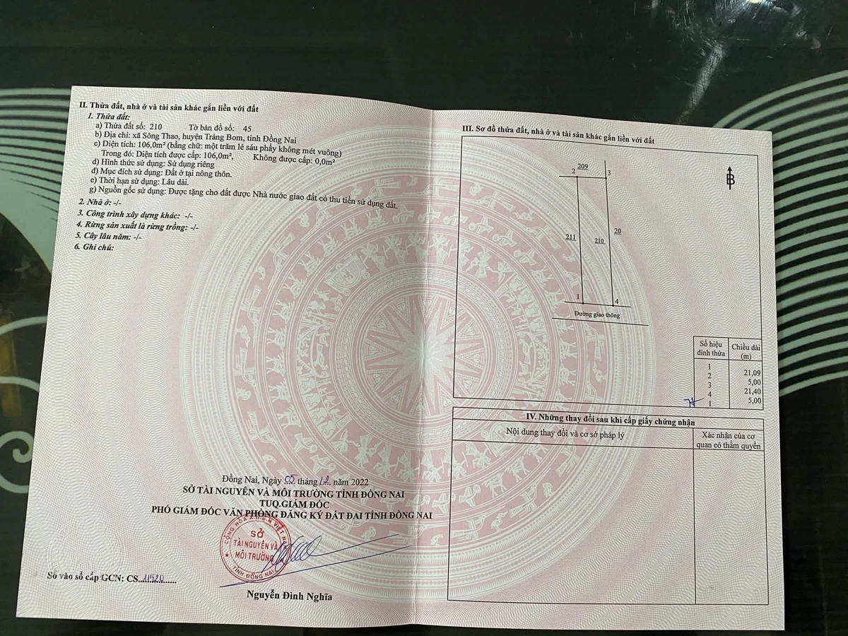 Bán 2 lô đất mặt tiền Nông Cơ Xã Sông Thao, 70m² và 100m² - Ảnh thu nhỏ 5