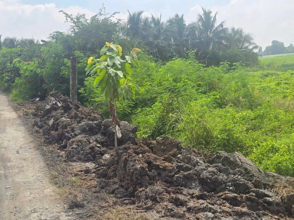 Bán gấp 2000m2 đất (300m2 thổ cư + 1700m2 đất lúa) Nhà Bè - Ảnh 1
