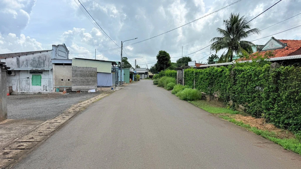 Bán lô nhà vườn 649m² mặt tiền Nguyễn Hùng Mạnh gần Chợ Đất Đỏ - Ảnh 1