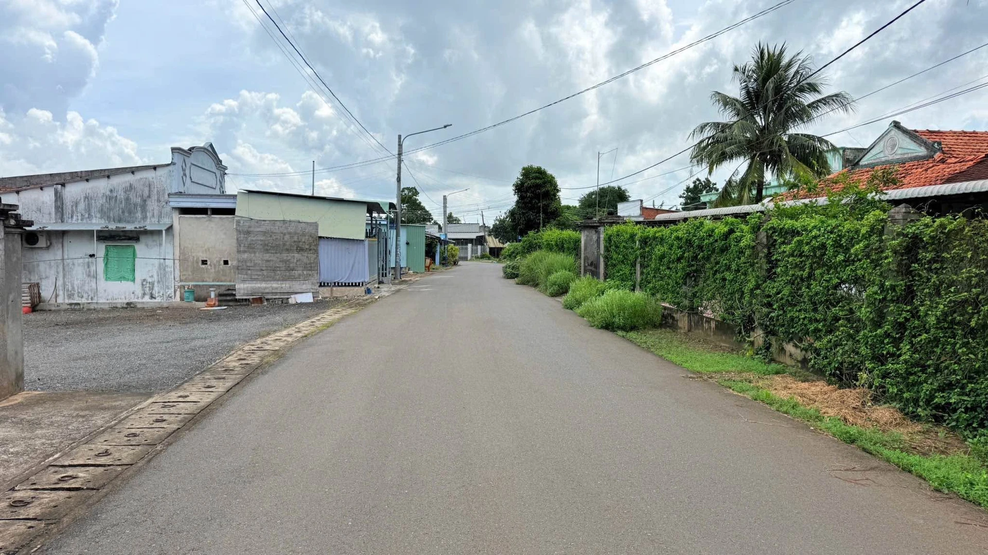 Bán lô nhà vườn 649m² mặt tiền Nguyễn Hùng Mạnh gần Chợ Đất Đỏ - Ảnh 1
