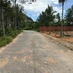Bán đất 110m2 có thổ cư mặt đường khu Tượng, gần đường lớn. Giá chỉ 1,6 tỷ - Ảnh thu nhỏ 7