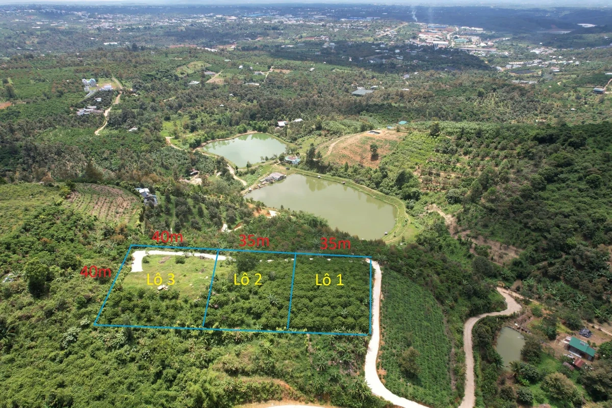 Bán đất vườn 3533m² 3 sổ riêng Lộc Thành Bảo Lộc 2,6 tỷ - Ảnh thu nhỏ 4
