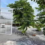 Bán đất thổ cư 240m² giá 1,4 tỷ tại phường Trảng Dài, Đồng Nai - Ảnh thu nhỏ 1