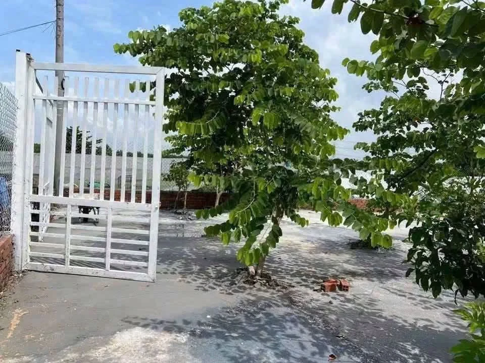 Bán đất thổ cư 240m² giá 1,4 tỷ tại phường Trảng Dài, Đồng Nai - Ảnh 1