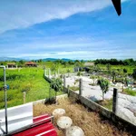 Bán nhà vườn 735m² tại Hàm Chính, Nhà Bè, 1,9 tỷ - Ảnh thu nhỏ 2