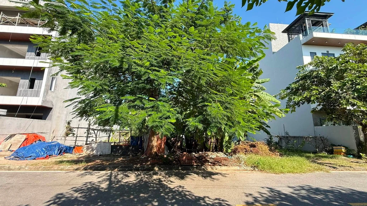 Bán đất nền 208 m² mặt tiền 13m Hải Phòng - Ảnh thu nhỏ 5