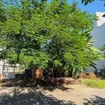 Bán đất nền 208 m² mặt tiền 13m Hải Phòng - Ảnh thu nhỏ 5