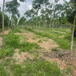 Bán đất 85m2 view suối tại Chơn Thành 600 triệu - Ảnh thu nhỏ 2
