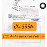 Bán đất Nam Ban ven Đà Lạt 174m² 599 triệu - Ảnh thu nhỏ 1