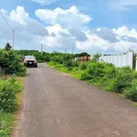 Bán đất 1500m2 Bưng Riềng Xuyên Mộc Bà Rịa - Vũng Tàu - Ảnh thu nhỏ 5