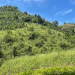 Bán 1 hecta đất Đắk Ruồng 85 triệu - Ảnh thu nhỏ 3