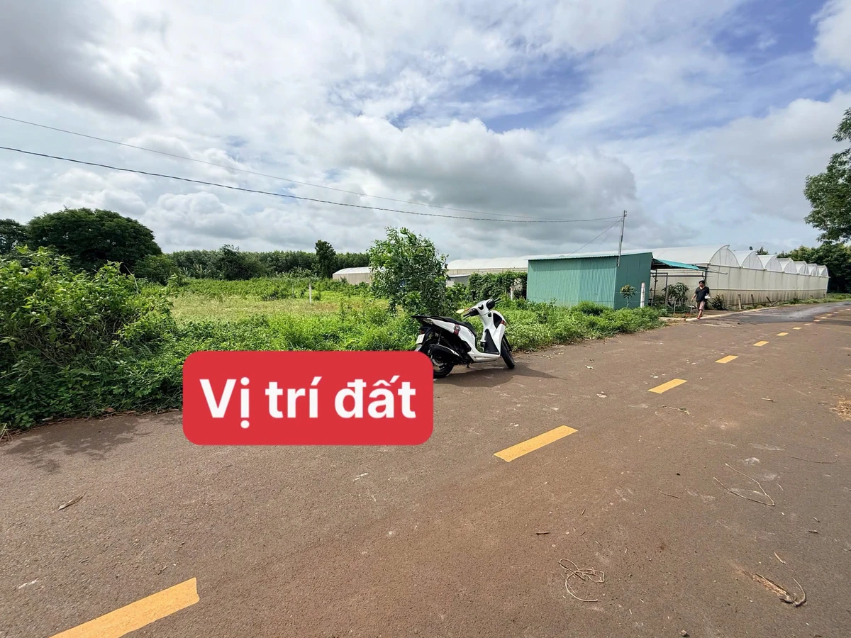 Bán đất ngang 12m, 1000m² tại xã Đất Đỏ - Ảnh 1
