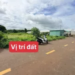 Bán đất ngang 12m, 1000m² tại xã Đất Đỏ - Ảnh thu nhỏ 1