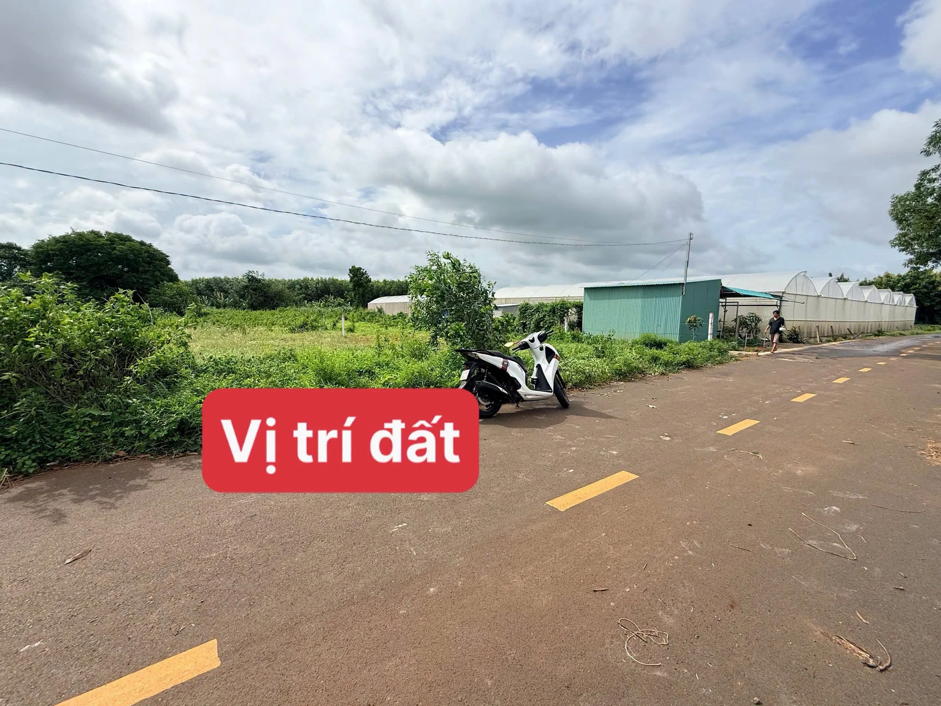 Bán đất ngang 12m, 1000m² tại xã Đất Đỏ - Ảnh 1