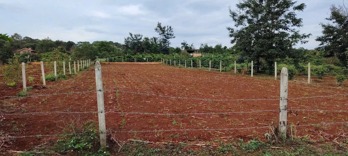 Bán đất nền 1005m² Ea Kao, Đắk Lắk, 1 tỷ 5 - Ảnh thu nhỏ 2