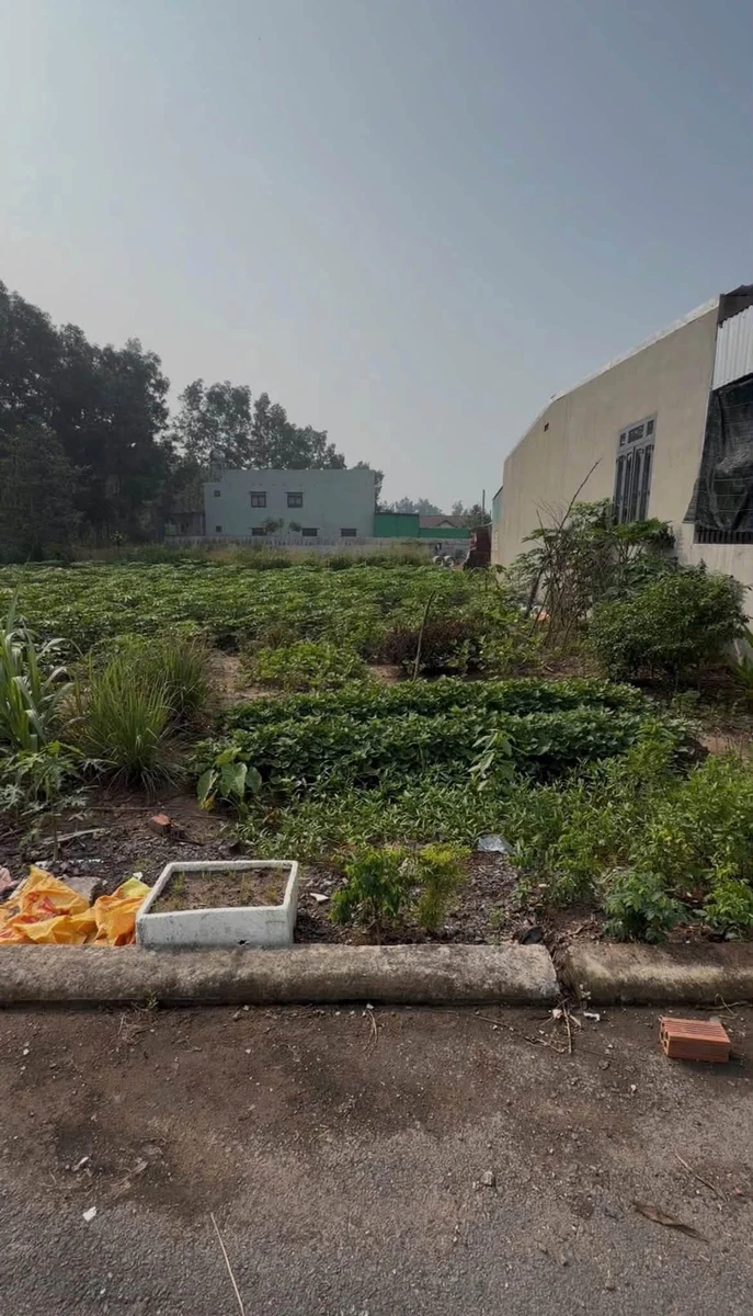 Bán đất nền 147,8 m² An Viễn, KCN Giang Điền, Đồng Nai - Ảnh thu nhỏ 3
