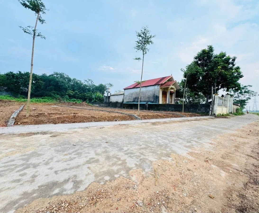 Bán đất Hoàng Vân Hiệp Hòa 160m² 7xx triệu sổ hồng - Ảnh thu nhỏ 2