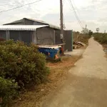 Bán 3 thửa đất liền ranh tổng 11.234,3m2 tại Bình Thới, Bình Đại, Bến Tre - Ảnh thu nhỏ 12