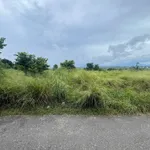 Bán đất Sào Hàm Kiệm 1000m2 mặt tiền đường ô tô - Ảnh thu nhỏ 2