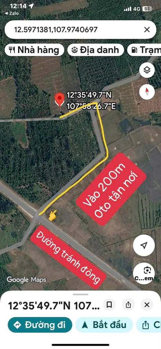 Bán đất cà phê 6.200m² Hòa Khánh, Buôn Ma Thuột - Ảnh thu nhỏ 4