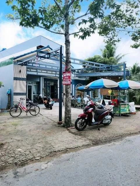 Bán 2 nhà sổ riêng Đình Phú Tự Bến Tre 269.8m² 4.5 tỷ - Ảnh thu nhỏ 3