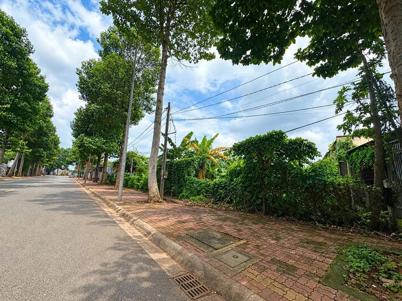Bán đất mặt tiền Lê Lơi Ngãi Giao 110m² Bà Rịa - Vũng Tàu