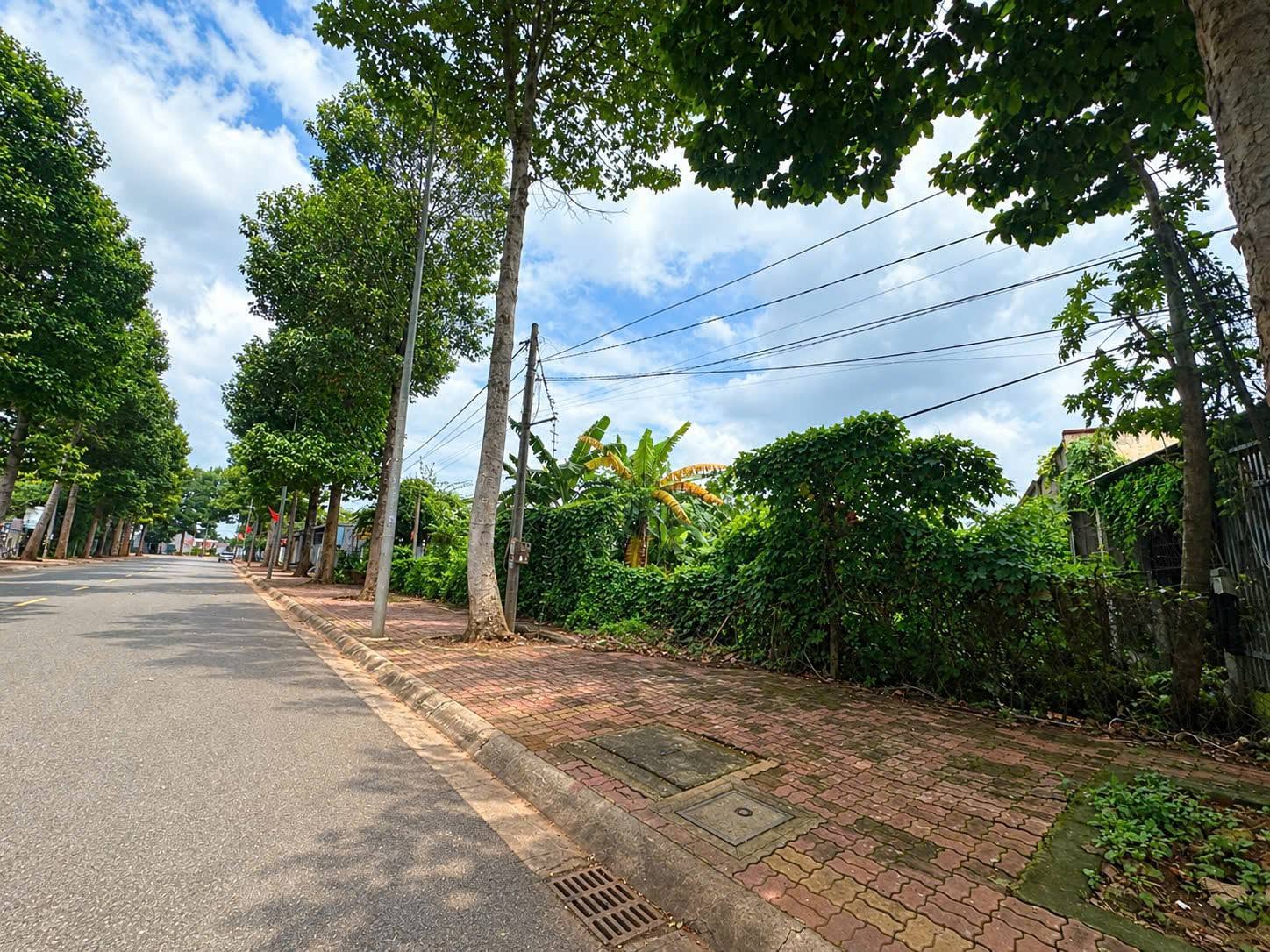 Bán đất mặt tiền Lê Lơi Ngãi Giao 110m² Bà Rịa - Vũng Tàu