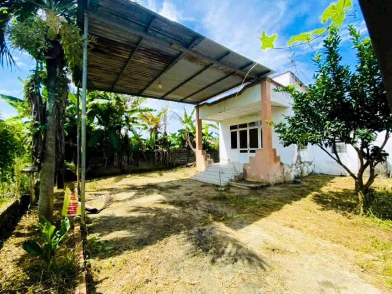Bán nhà vườn 3700m² Phường Tân Triều giá 6 tỷ - Ảnh 1