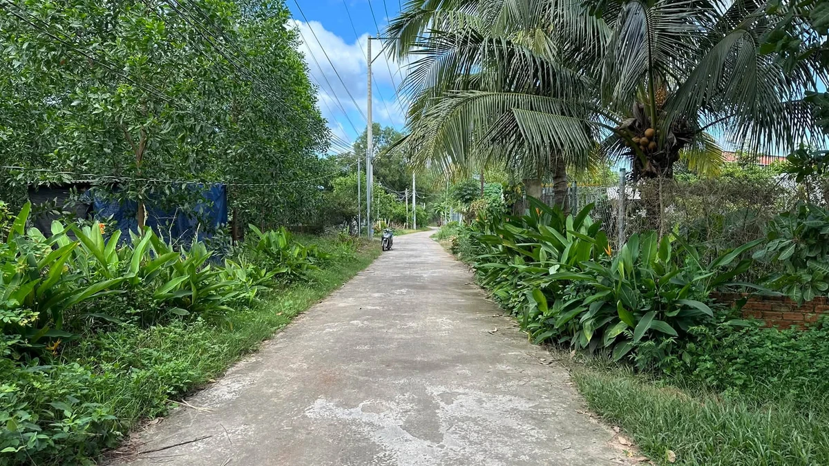 Bán đất full thổ cư 175m² view núi Chứa Chan, Đồng Nai, 600 triệu - Ảnh thu nhỏ 3