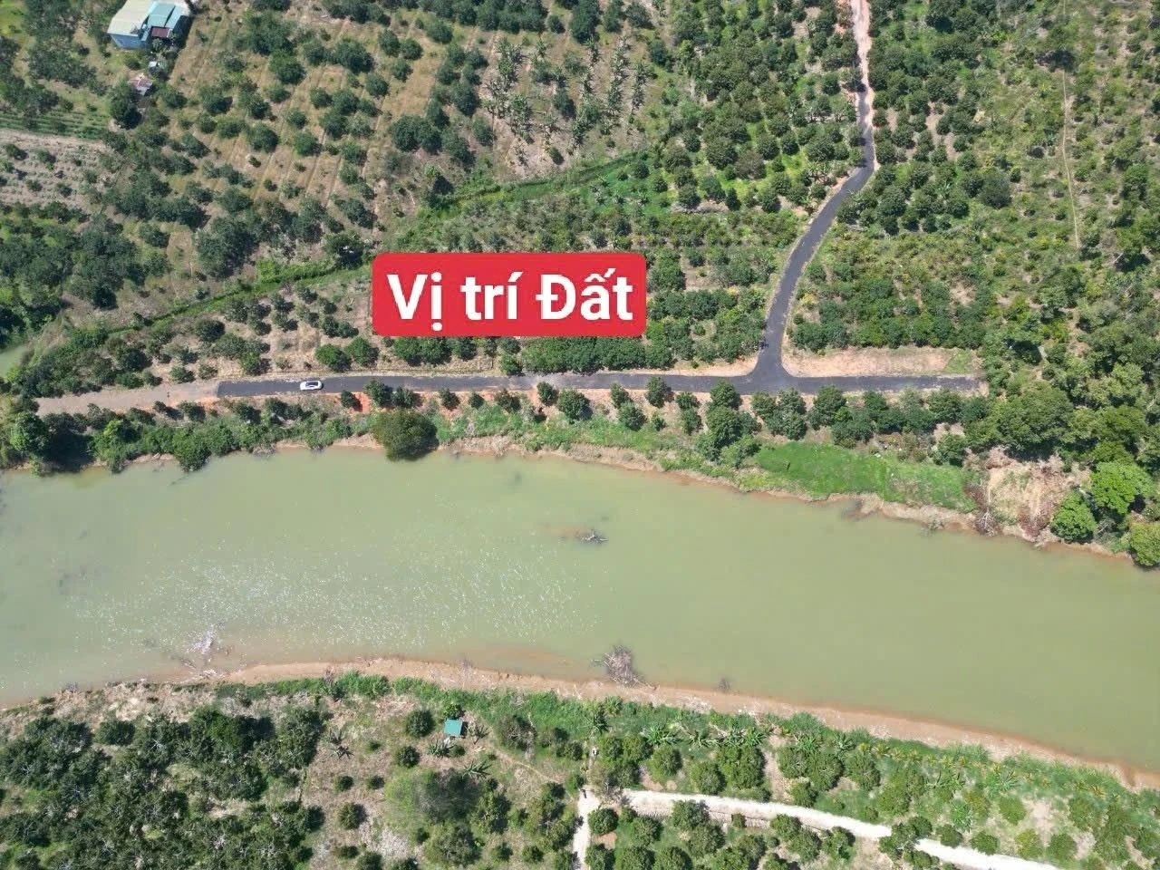 Bán đất 1,1ha sầu riêng 10 năm Bảo Lâm Lâm Đồng - Ảnh 1