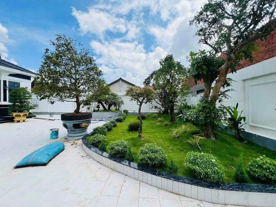 Bán nhà vườn 4PN 650m2 Đức Hoà Long An 6.5 tỷ - Ảnh thu nhỏ 3