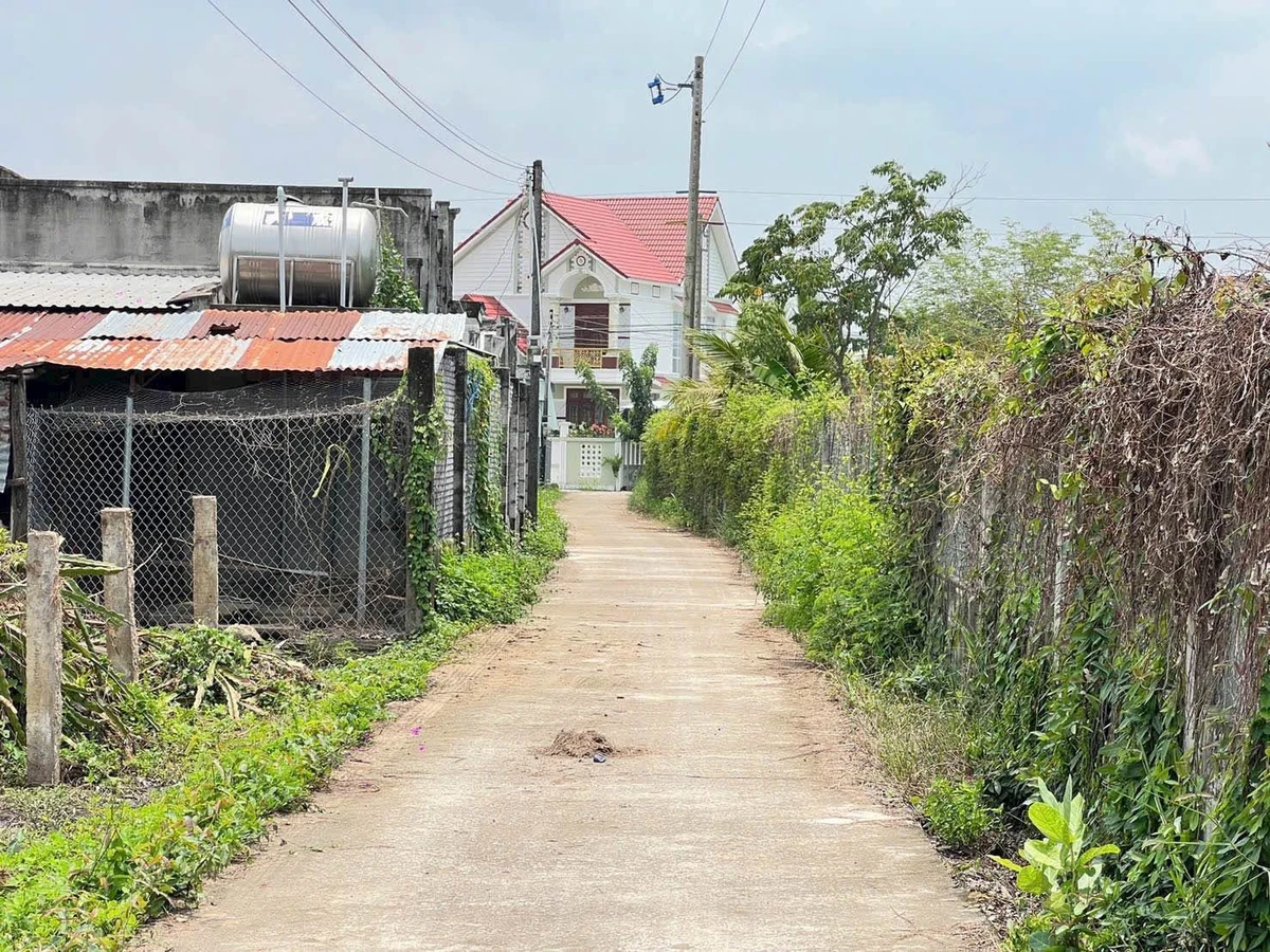 Bán đất thổ cư 300m² gần Phan Thiết, Hàm Liêm, 1.8 tỷ - Ảnh thu nhỏ 4
