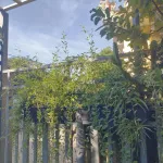 Bán nhà 3 tầng - đất trăm mét - giá chỉ nhỉnh hơn 2 tỷ TP. Huế! - Ảnh thu nhỏ 18